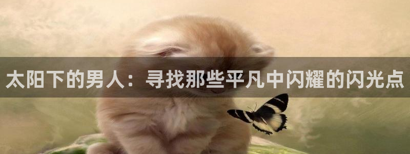 辉达娱乐己75505