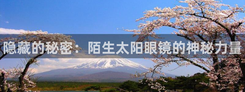 专业辉达娱乐官方网址