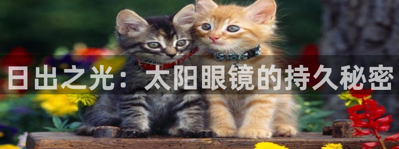 代理辉达娱乐官方网址