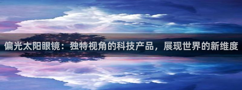 龙腾辉达电子娱乐