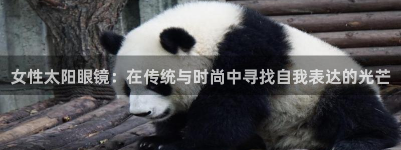 辉达娱乐己39444