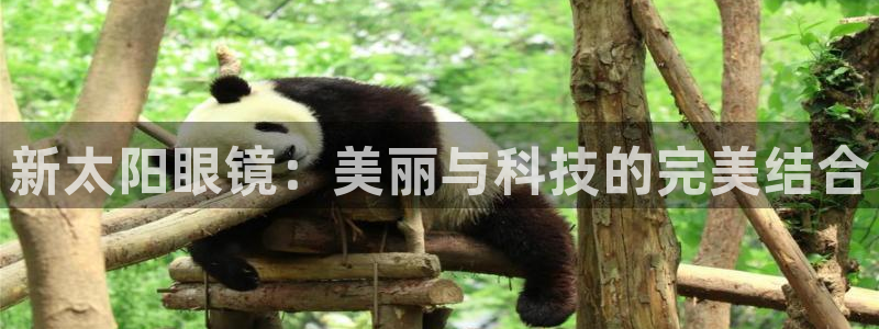 辉达娱乐五75505