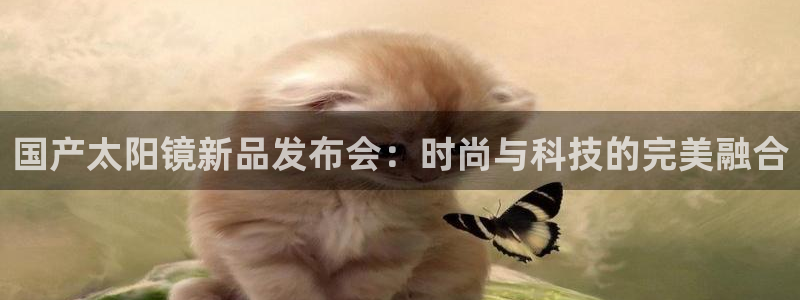 辉达娱乐时时彩平台