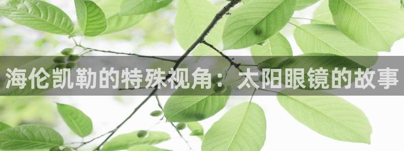 辉达娱乐体育竞猜