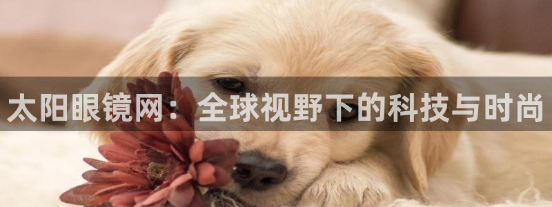 辉达娱乐五75505