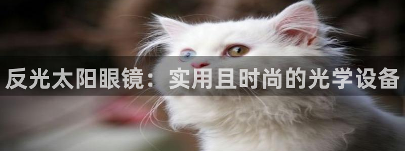 辉达娱乐最新版本更新内容