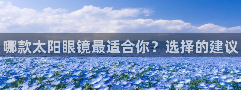 龙腾辉达电子娱乐