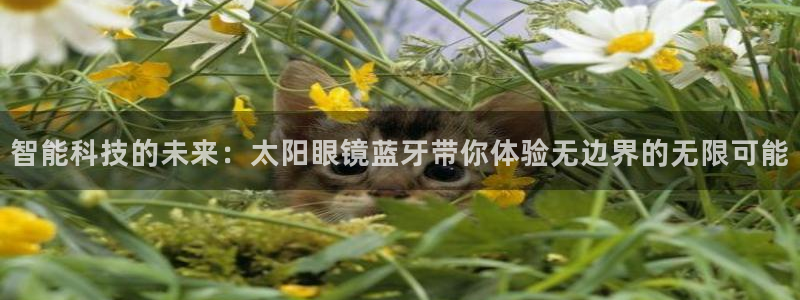 辉达娱乐丨39444