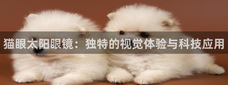 专业辉达娱乐在线游戏