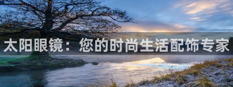 辉达娱乐加q75775