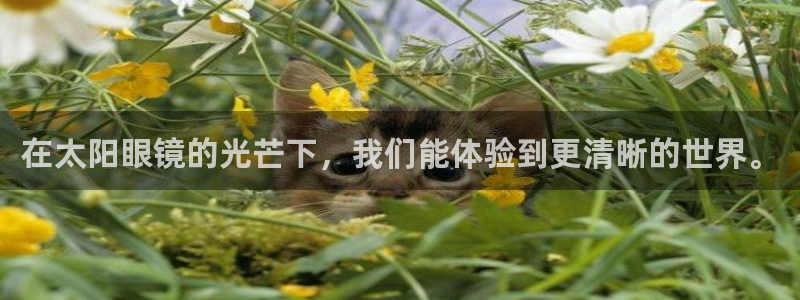 辉达娱乐排列三