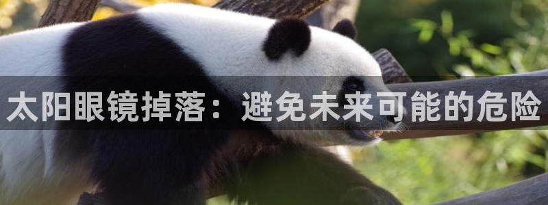 辉达娱乐时时彩