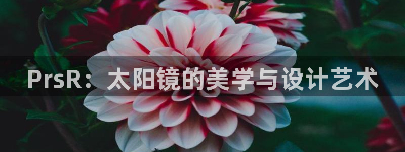 辉达娱乐最新消息新闻