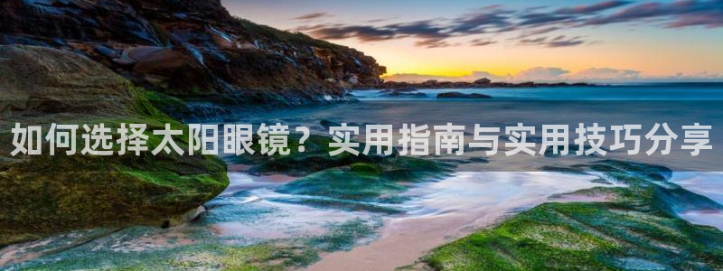辉达娱乐网址