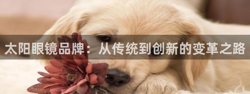 辉达娱乐五39444