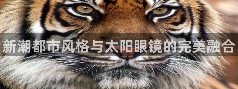 辉达娱乐衤39444