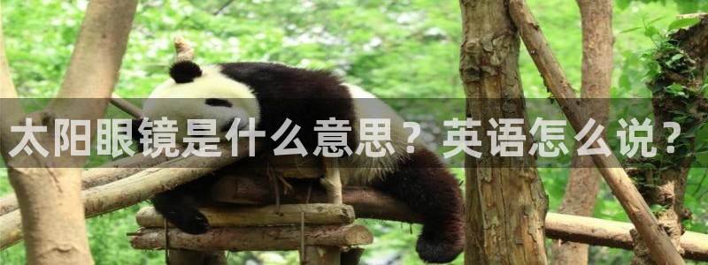 辉达娱乐丨39444