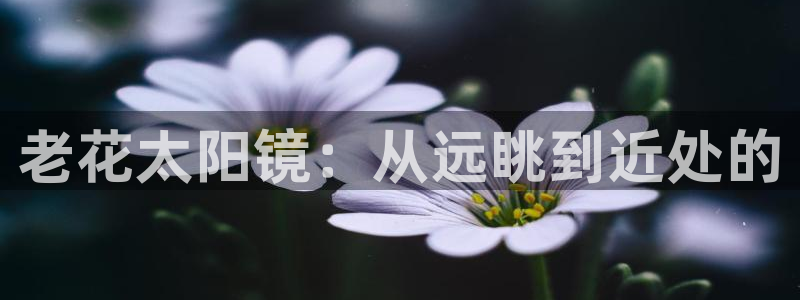 辉达娱乐平台