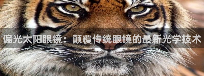 辉达怎么样
