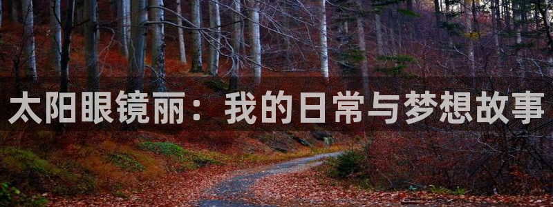 专业辉达娱乐官方网址