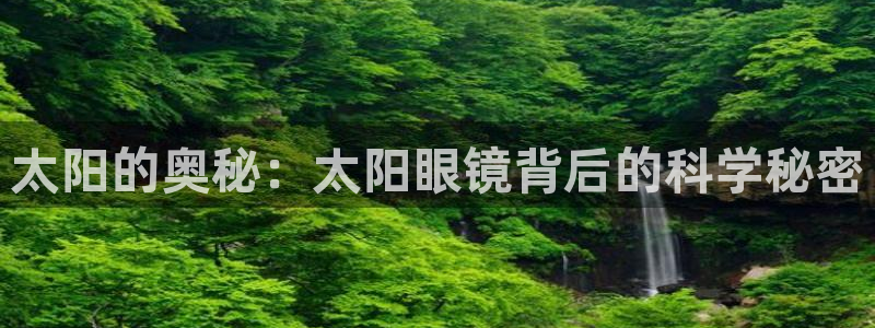 辉达娱乐总部
