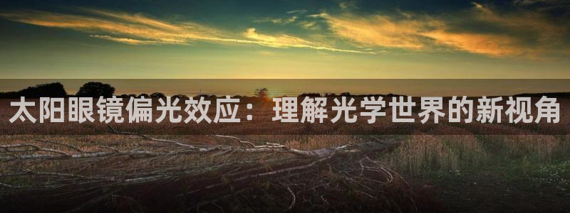 辉达娱乐新疆时时彩