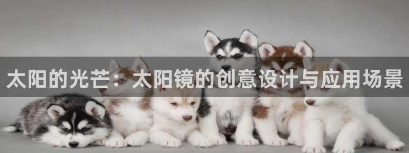 信誉辉达娱乐官方网址