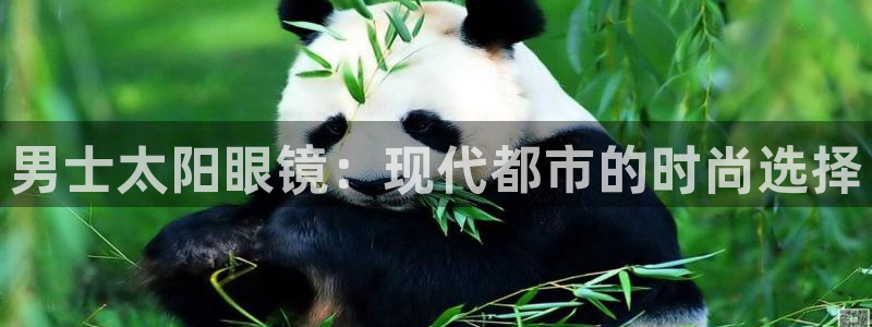 辉达娱乐排列三