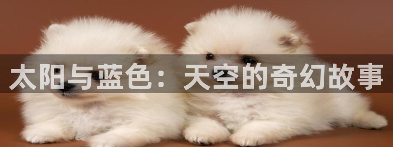 辉达娱乐官方网址