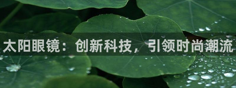 辉达平台官网首页