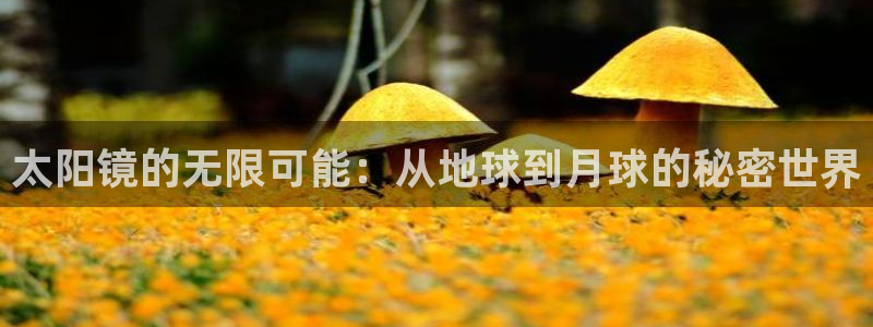 专业辉达娱乐官方网址