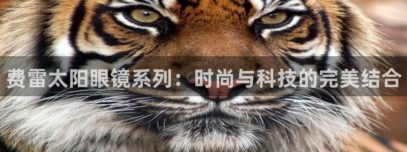 辉达娱乐五75505