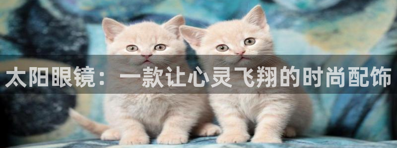 辉达娱乐五75505