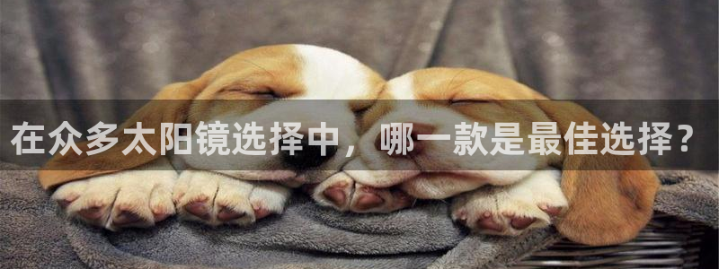 辉达娱乐最新消息新闻