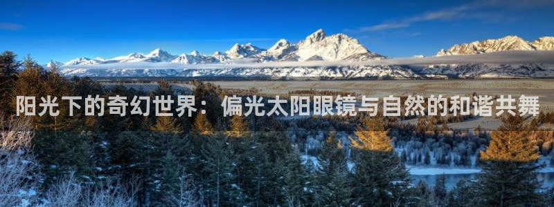 专业辉达娱乐官方网址