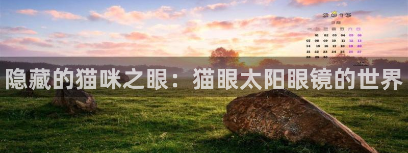 辉达娱乐时时彩平台