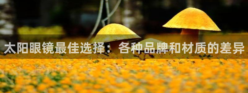 恒达娱乐辉70667