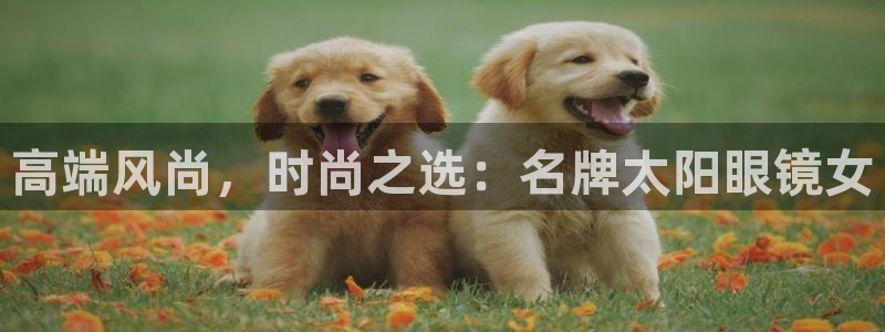 专业辉达娱乐平台