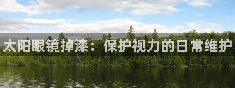 辉达集团官方网站