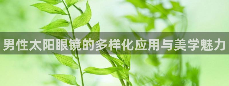 辉达娱乐最新消息新闻