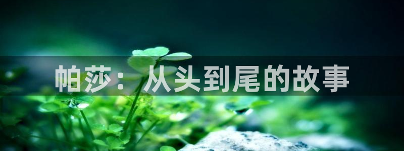 辉达娱乐重庆时时彩