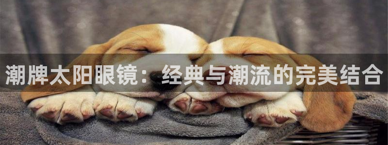 辉达娱乐体育竞猜