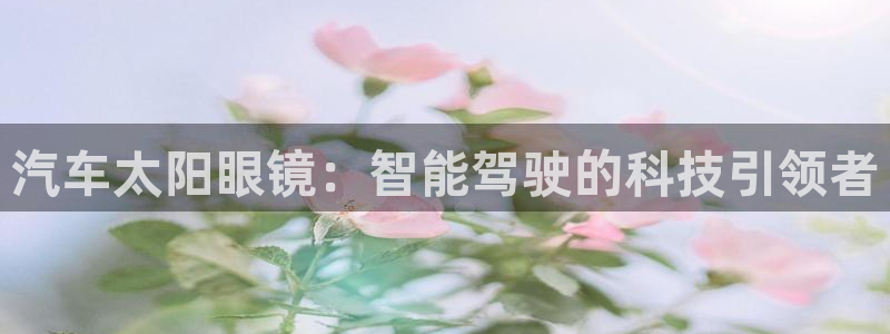 辉达平台官网首页