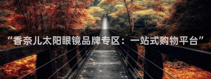 辉达娱乐丶75505