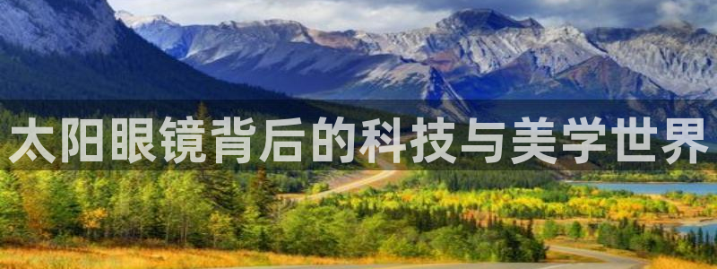 辉达集团官方网站