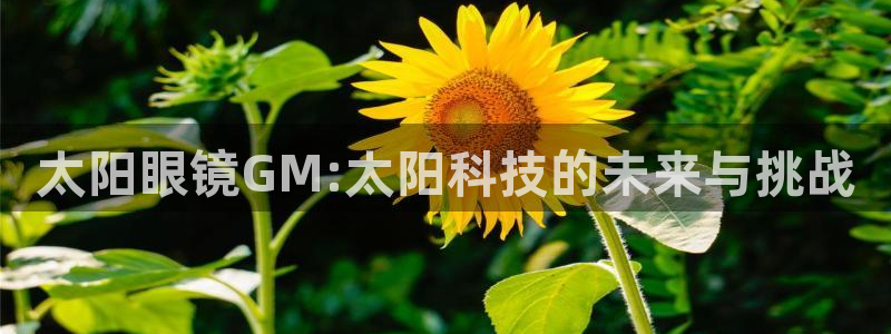 专业辉达娱乐在线游戏