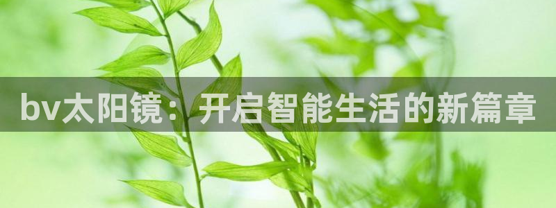 恒达娱乐辉70667