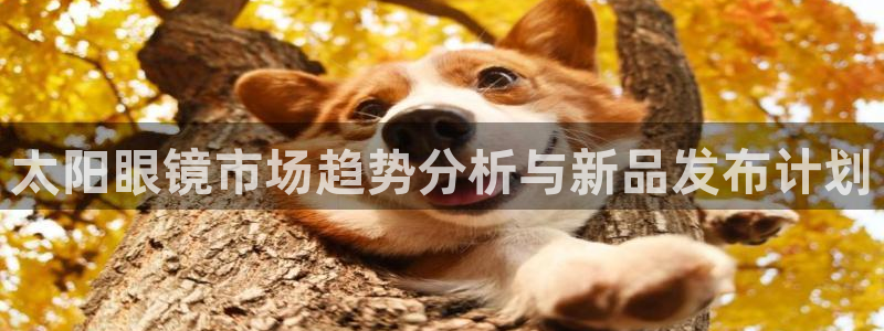 辉达娱乐丿75505