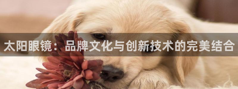 辉达娱乐最新现状