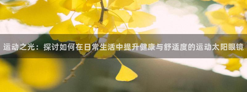 辉达娱乐计划软件